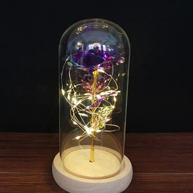 Luminous Galaxy Rose Lamp